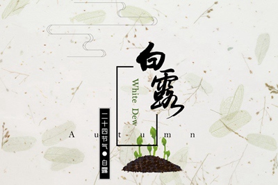 2019年9月8日白露節氣丑時出生的人命好不好?(圖文)