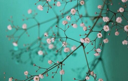 2019年九月十一寒露后一天簽約好嗎，寒露諺語解析！(圖文)