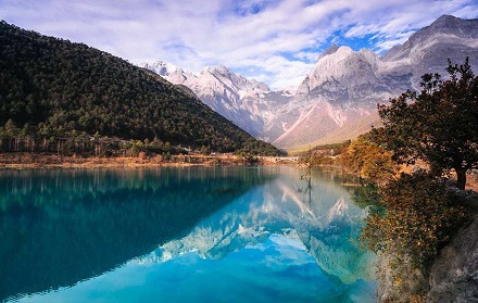 蛇的***貴人生肖是什么生肖?屬蛇的人旺運有何技巧?(圖文)