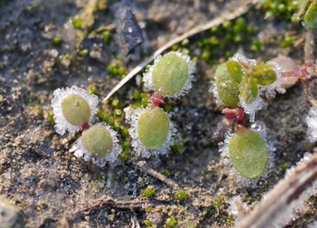 2019年九月廿六霜降遷墳吉利嗎,2019年霜降卦象好不好?(圖文)