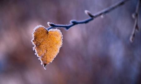 2019年九月廿六霜降日子適合提車嗎，霜降不能吃什么？(圖文)