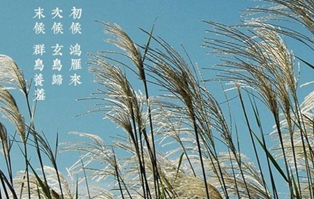 2019年9月8日白露這天財神爺吉位在哪里,距離白露還有幾天?(圖文)