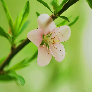 水瓶座失戀后的療傷地(圖文)