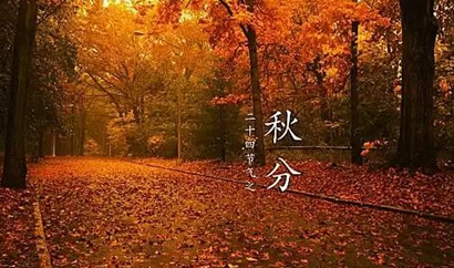 2019年秋分出生的人是純陰命嗎 什么是純陰命?(圖文)