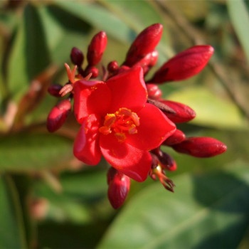 雙魚座男生說從普通朋友開始的言外之意(圖文)