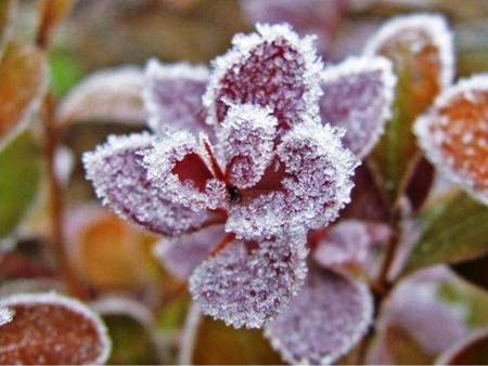 2019年霜降前一天九月廿五遷墳不好嗎,霜降一般溫度有幾度?(圖文)