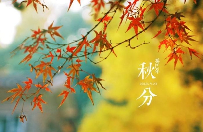 2019年秋分出生的豬寶寶好嗎 缺什么五行?(圖文)