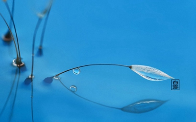 2019年八月初十白露節氣戌時喜用神是什么？(圖文)