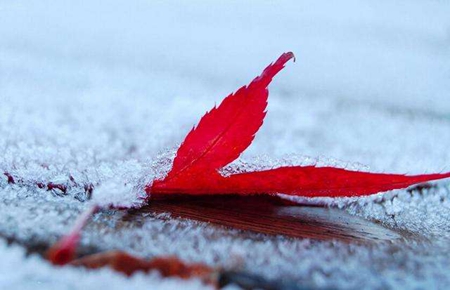 2019年九月廿六霜降日子適合提車嗎，霜降不能吃什么？(圖文)