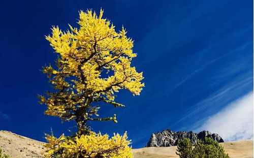 2019年十月二十九這天可以破土嗎 破土吉日大全！(圖文)