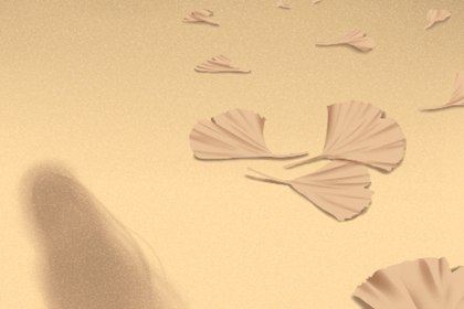 壁虎有靈性嗎 家里進壁虎怎么樣(圖文)