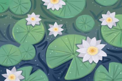 生命線與婚姻線相交有什么含義(圖文)