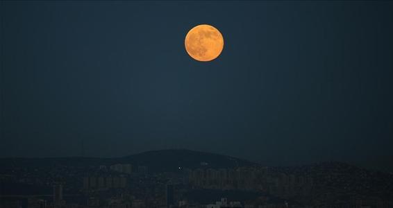 2019年陰歷十月二十九出生的人星座與上升星座查詢!(圖文)