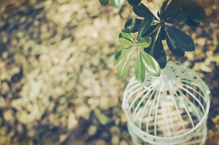 2012年12月出生的人是什么命?一生運勢如何?(圖文)