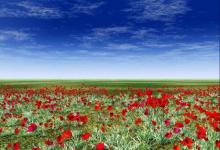 2019年6月屬雞的人什么運優秀