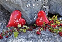 屬狗女和屬豬男相配嗎婚姻