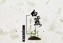 2019年9月8日白露節氣丑時出生的人命好不好?