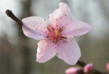 姓名五格數理吉兇分類