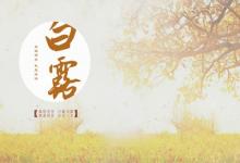 2019年9月8日白露節氣出生在巳時的人喜用神是什么?