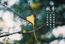 2019年秋分節氣出生的人命數和運勢解析