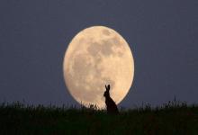 2019己亥年農歷九月二十九出生的孩子星座與健康運勢分析!