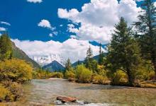 屬羊的女生婚后會旺夫嗎