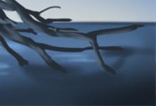 面相解析:如何看面相算命