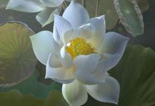 2019年寒露前一天10月7日是什么日子,寒露過(guò)后還熱不熱?