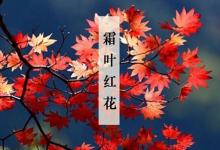 2019年霜降前一天九月二十五日子裝修動土吉不吉利?