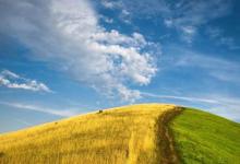 2019豬年處暑出生女寶寶小名推薦