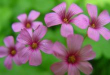 招小人什么意思,你知道多少?