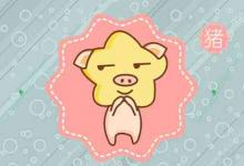 牛豬屬相相配嗎 婚姻美滿嗎