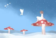 富貴竹的擺放禁忌有哪些?