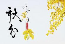 秋分白天熱嗎?秋分不生田是什么意思?