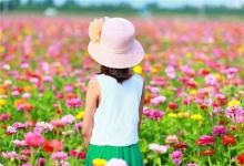 2020年運勢牛生肖運勢