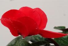 水瓶座戀愛多久才會交出銀行卡