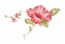 2019年屬馬的要小心提防什么事