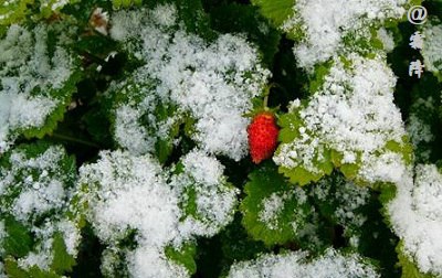 2019年霜降節氣辰時出生的人喜用神是什么?(圖文)