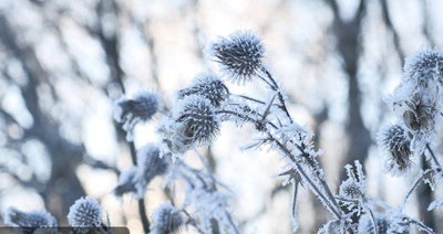 2019年農歷十一月初一是什么日子適合祭祀祭祖嗎？(圖文)