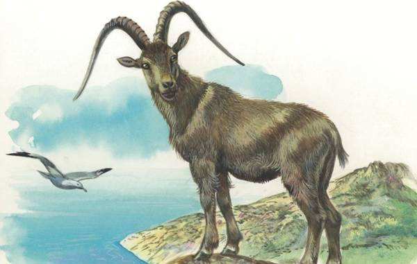 1991年屬羊人申時出生的怎樣?(圖文)