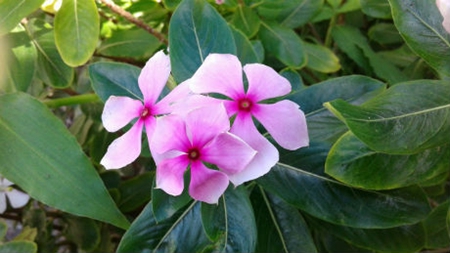 2019年農歷十月初十日子適合出行嗎,出行要注意什么？(圖文)