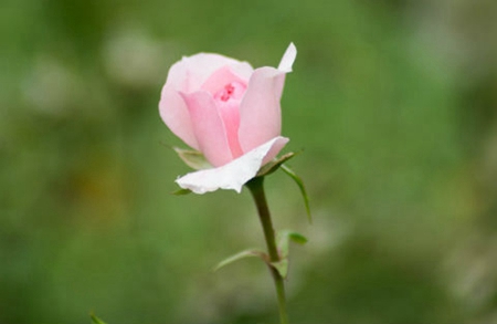 2019年感恩節前一天農歷十一月初二適合出行嗎?(圖文)