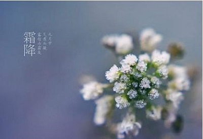 2019年霜降節氣辰時出生的人喜用神是什么?(圖文)