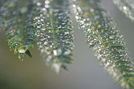 2019年10月8日寒露黃歷不能做什么,寒露氣溫分布差異大嗎?(圖文)