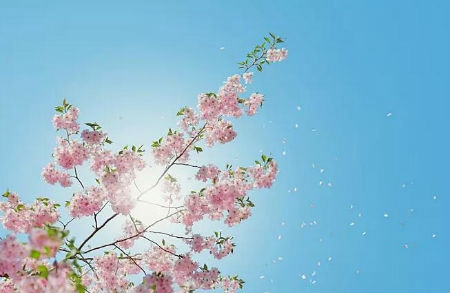 2019年陰歷十月初九遷墳吉利嗎，陰宅遷墳風水解析！(圖文)