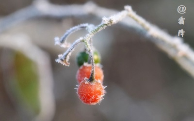 2019年九月廿六霜降午時(shí)出生命運(yùn)好不好？(圖文)