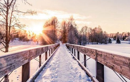 2019年11月8日立冬日屬牛今日運勢詳細解析!(圖文)