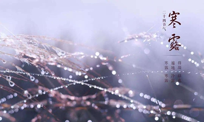 2000年屬龍的人寒露節氣10月8日出生命運是好是壞?(圖文)