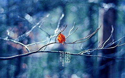 2019立冬日那天幾點(diǎn)幾分是立冬時(shí)辰？立冬別稱有哪些？(圖文)