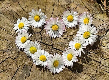 2019年陰歷十月初九出殯行喪好嗎,11月5日時(shí)辰吉兇查詢!(圖文)